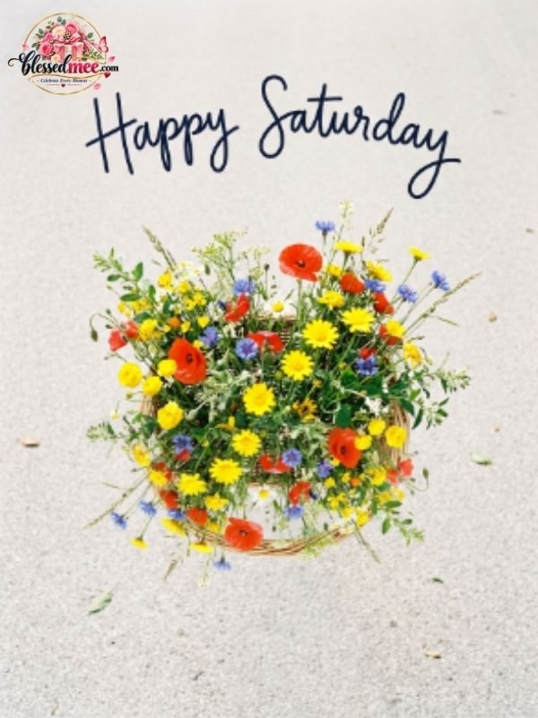 funny-saturday-blessings-and-quotes