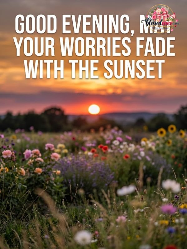 Good evening, may your worries fade with the sunset