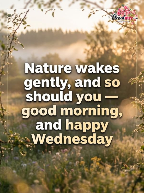Nature wakes gently, and so should you — good morning, and happy Wednesday