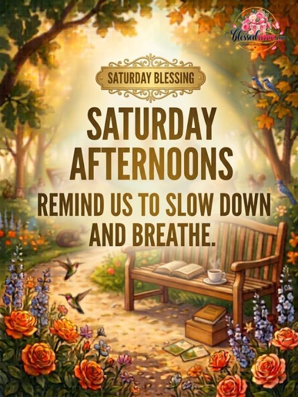 Saturday afternoons remind us to slow down and breathe