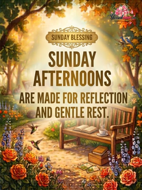 Sunday afternoons are made for reflection and gentle rest