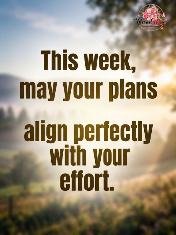 This week, may your plans align perfectly with your effort