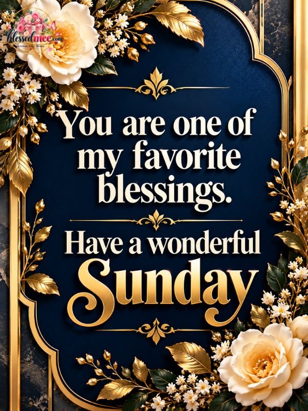 You are one of my favorite blessings